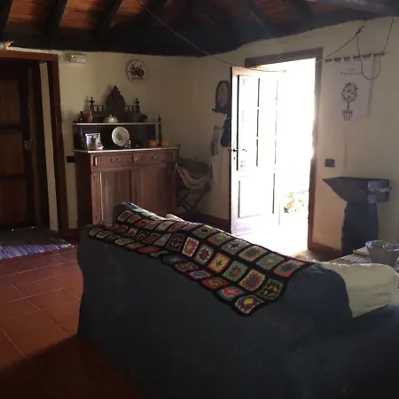 El Patio Del Naranjo *
