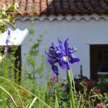 El Patio Del Naranjo Séjour à la campagne *