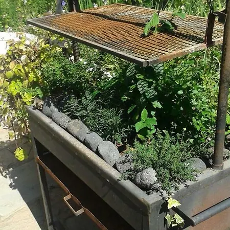 Séjour à la campagne El Patio Del Naranjo